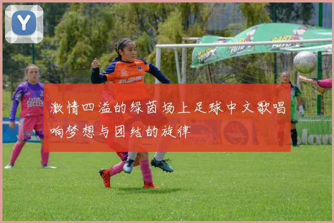 激情四溢的绿茵场上足球中文歌唱响梦想与团结的旋律