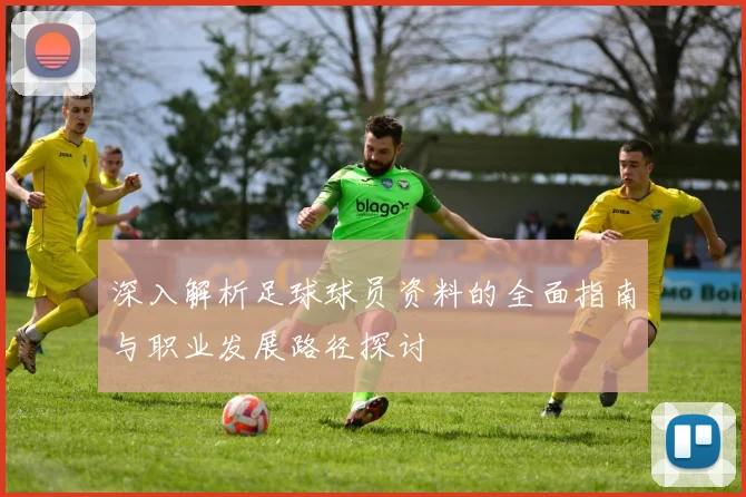 深入解析足球球员资料的全面指南与职业发展路径探讨