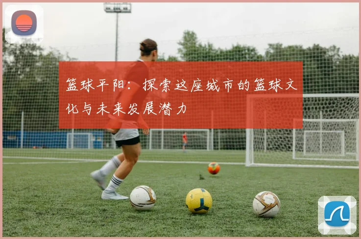 篮球平阳：探索这座城市的篮球文化与未来发展潜力