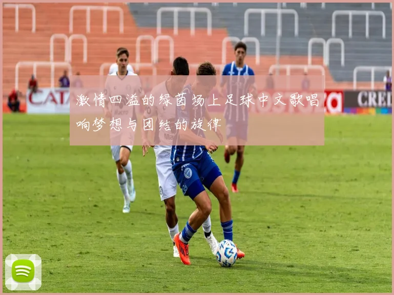 激情四溢的绿茵场上足球中文歌唱响梦想与团结的旋律